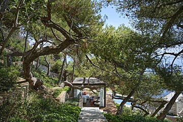 A winding path through dense pine trees leads to a modern glass pavilion overlooking a pool and the blue ocean.