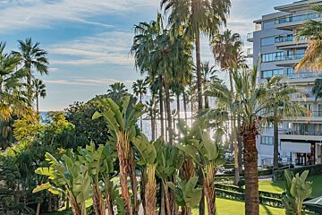 Tropical resort view with lush palm trees, broad-leaf plants, and a modern building overlooking the sparkling sea.