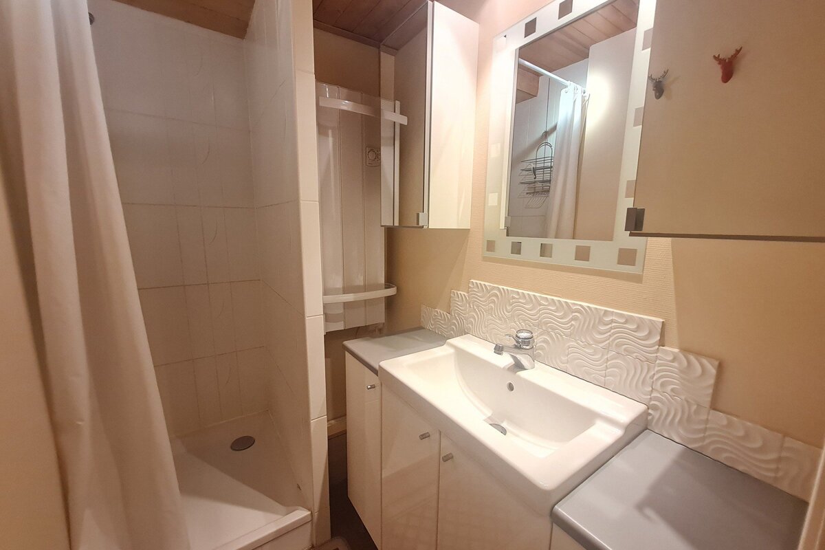 A bathroom with a sink a mirror and a shower