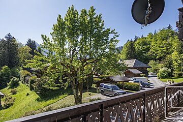 A view from a wooden balcony overlooking a large green tree, lawns, houses, and parked cars under a clear blue sky.