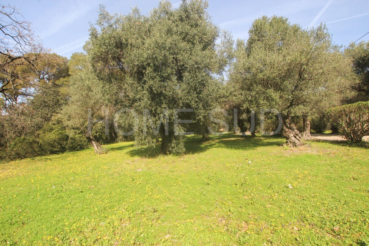 A lush green field with trees and a sign that says home studio