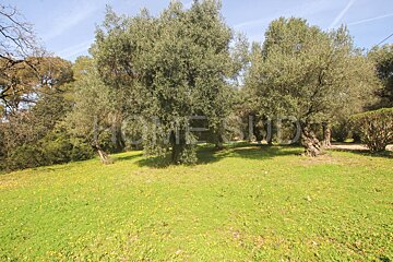 A lush green field with trees and a sign that says home studio