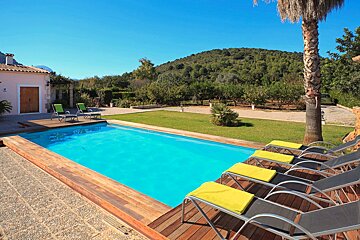 A large swimming pool is surrounded by lawn chairs and a palm tree