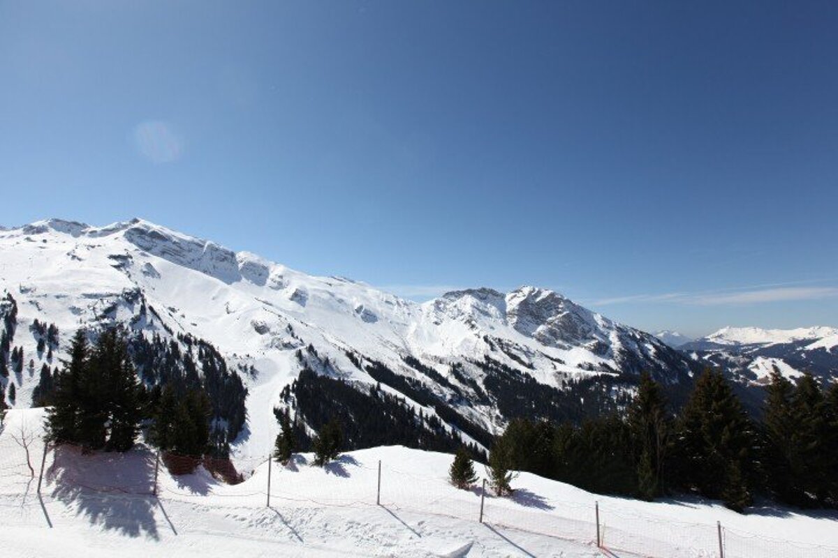 A snowy mountain with trees and a blue sky in the background