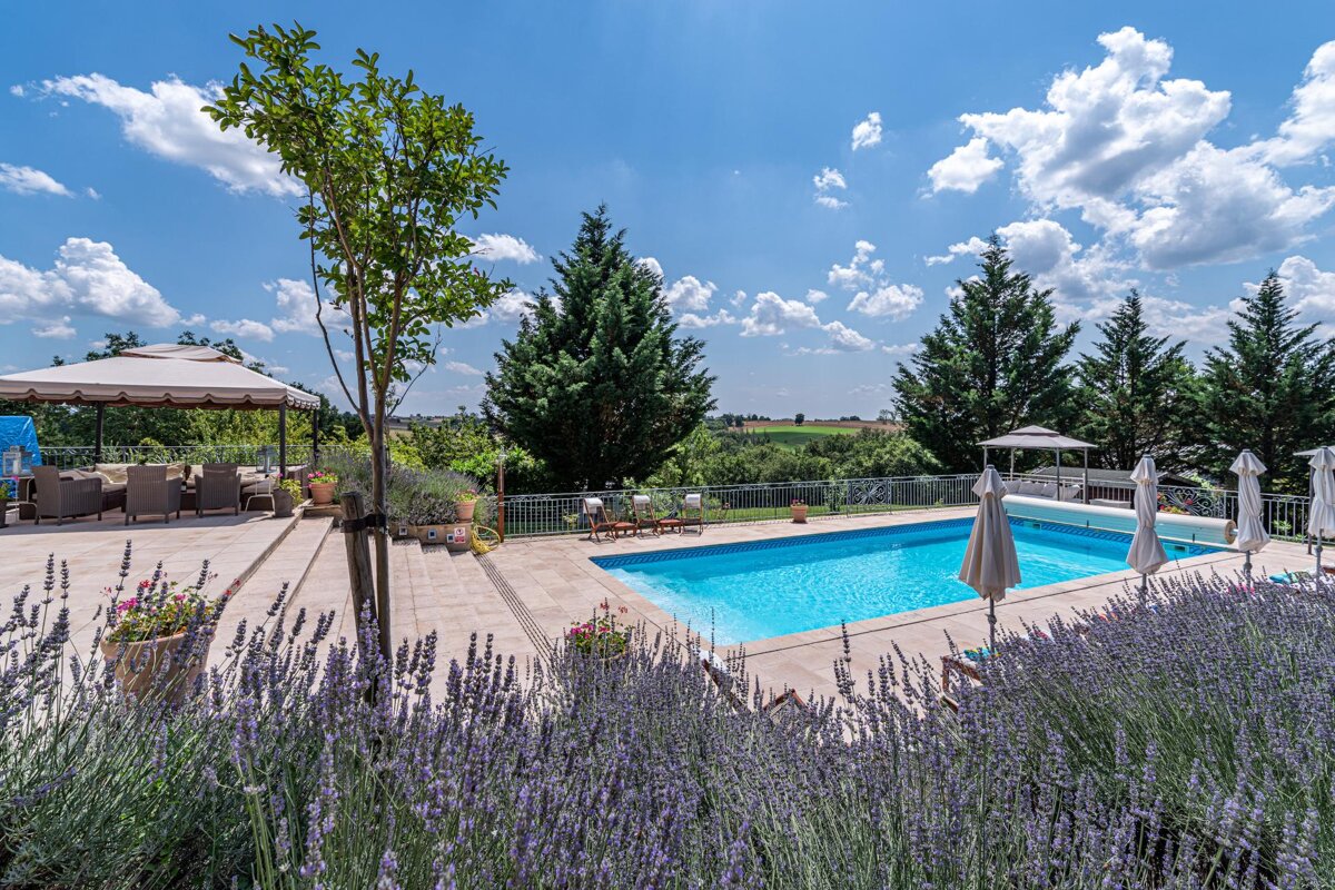 A large swimming pool surrounded by purple flowers and umbrellas