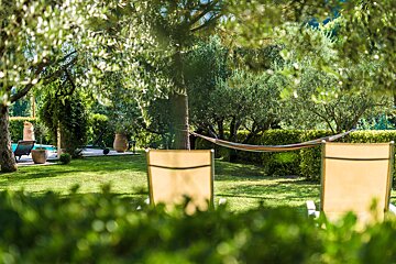 A hammock sits in the middle of a lush green garden