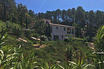 A white house sits in the middle of a forest