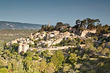 A small village sits on top of a hill surrounded by trees