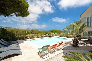 A swimming pool surrounded by chairs and a palm tree