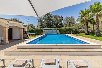 A large swimming pool is surrounded by palm trees and a white umbrella