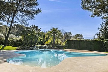 An inviting outdoor swimming pool with bright blue water and a paved deck, surrounded by lush trees, palm trees, and a tall green hedge under a clear blue sky.