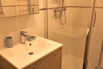 A bathroom with a sink and a shower stall