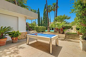 A pool table in a backyard with palm trees in the background