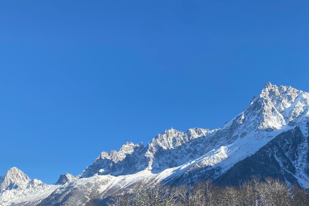Snowy mountain peaks gleam under a clear blue winter sky, with bare trees in the lower frame.