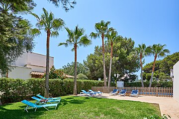A lush green lawn with blue lounge chairs and palm trees