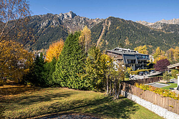 A house with a mountain in the background is surrounded by trees