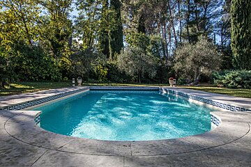 A large swimming pool surrounded by trees and bushes