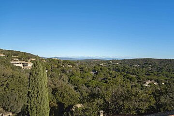 A view of a forest with mountains in the background