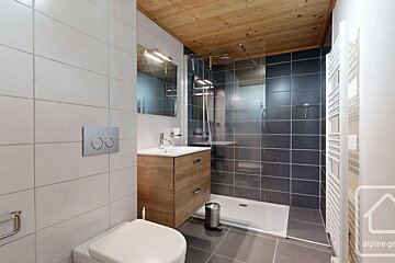 Sleek bathroom with white tiles, a wooden vanity, a toilet, and a glass-enclosed shower with dark gray tiles. A wooden ceiling adds warmth.