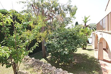 A lush green garden with a fence and a palm tree