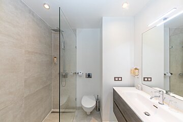 A bathroom with a toilet a sink and a walk in shower