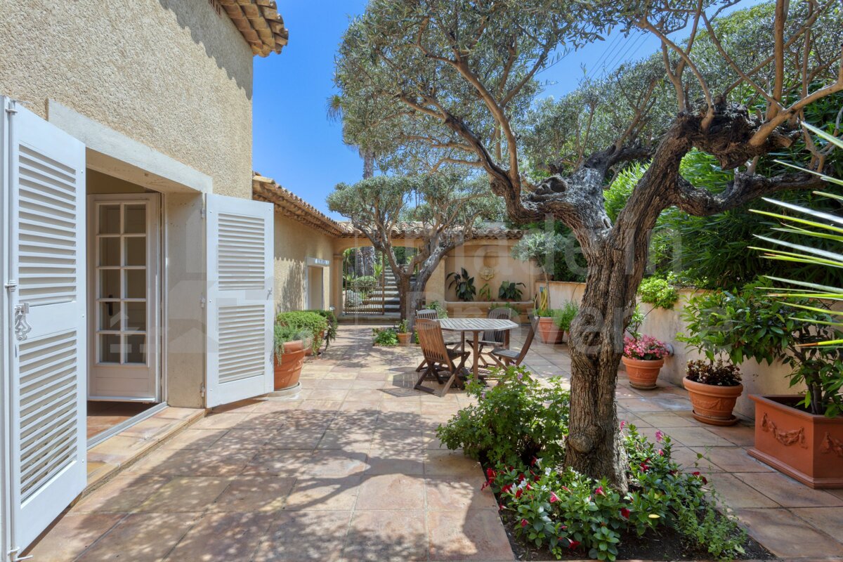 A patio with a table and chairs and a tree in the middle