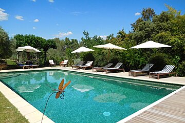 A large swimming pool surrounded by chairs and umbrellas