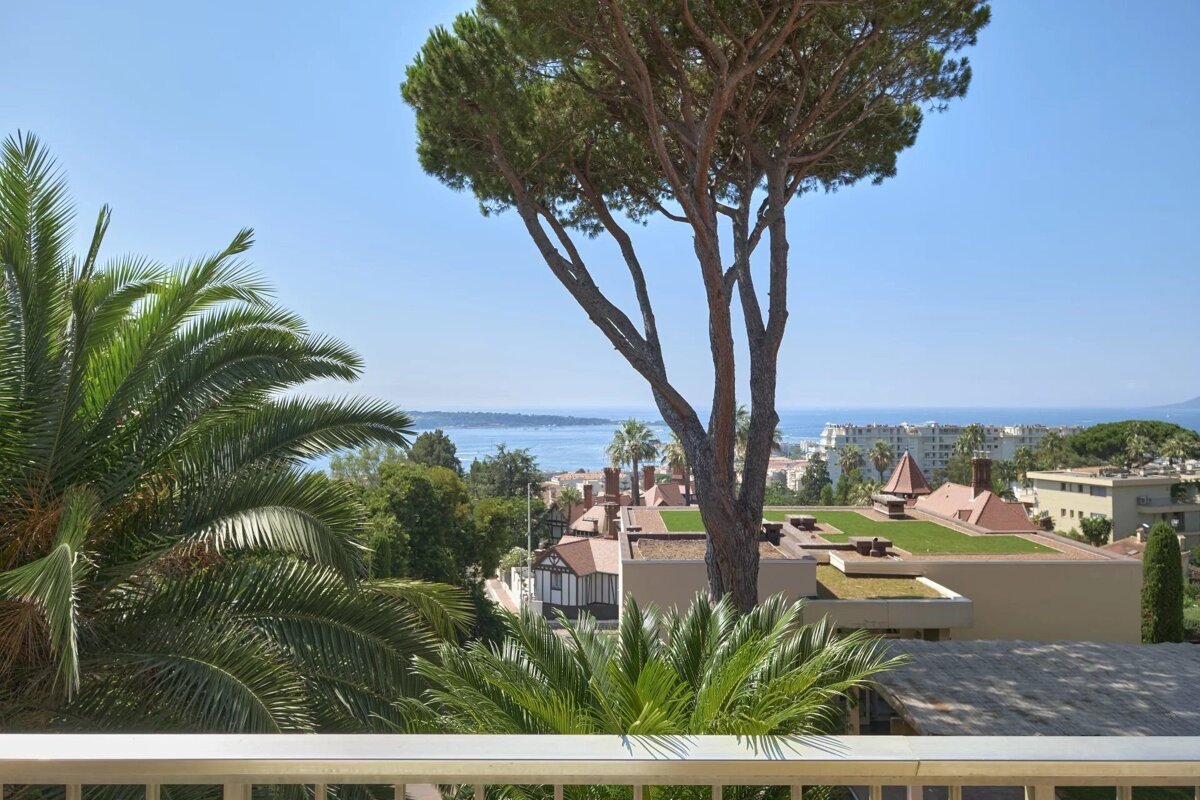 A scenic balcony view of coastal town buildings, framed by a tall pine and lush palm trees under a clear blue sky.