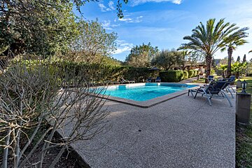 A large swimming pool surrounded by chairs and palm trees