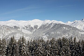 Snowy mountain peaks and slopes under a clear blue sky, with a dense forest of snow-laden pine trees in the foreground.