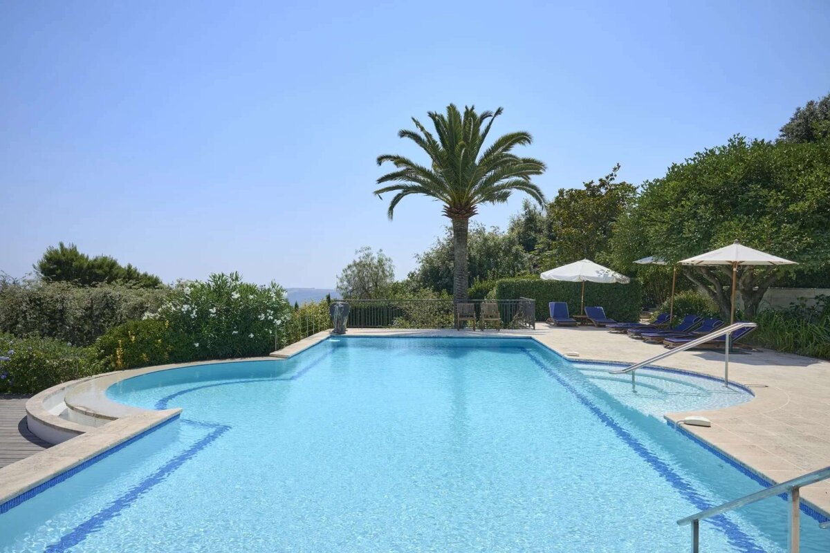 A sunny outdoor swimming pool with a large palm tree, lounge chairs, umbrellas, and green hedges against a clear blue sky.