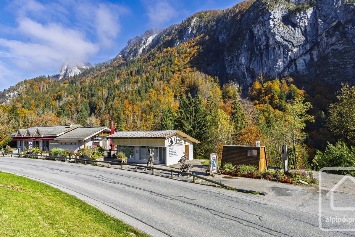 A mountain road winds past buildings with an autumn-colored forest and rocky cliffs in the background under a bright blue sky.