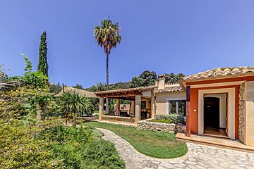 A house with a palm tree in front of it