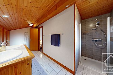 A bathroom with two sinks and a shower with the word alpine on the bottom
