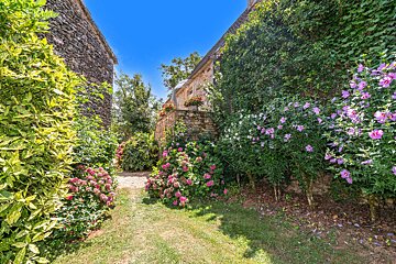 A garden filled with lots of pink and purple flowers