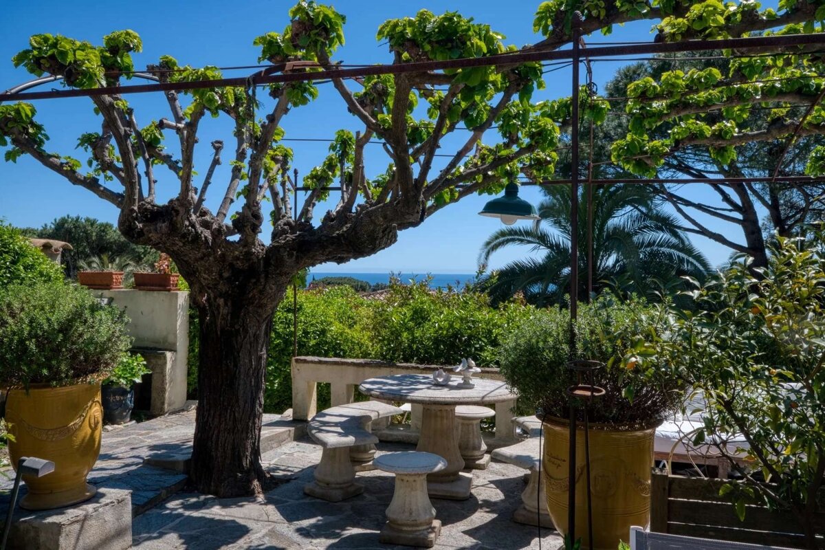 A sun-dappled patio with a gnarled tree shading a stone table and benches, flanked by potted plants, overlooking the blue ocean under a clear sky.