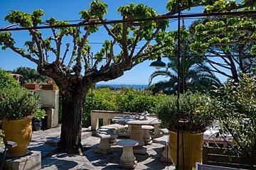A sun-dappled patio with a gnarled tree shading a stone table and benches, flanked by potted plants, overlooking the blue ocean under a clear sky.
