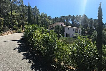 A white house sits in the middle of a forest