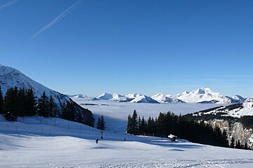 Stunning winter mountain landscape: clear blue sky, snowy peaks rising above a sea of clouds, pine forests, and a ski slope with a lone skier.