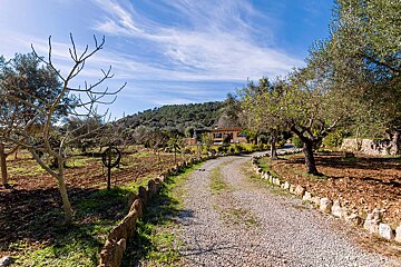 A gravel road leads to a house in the mountains