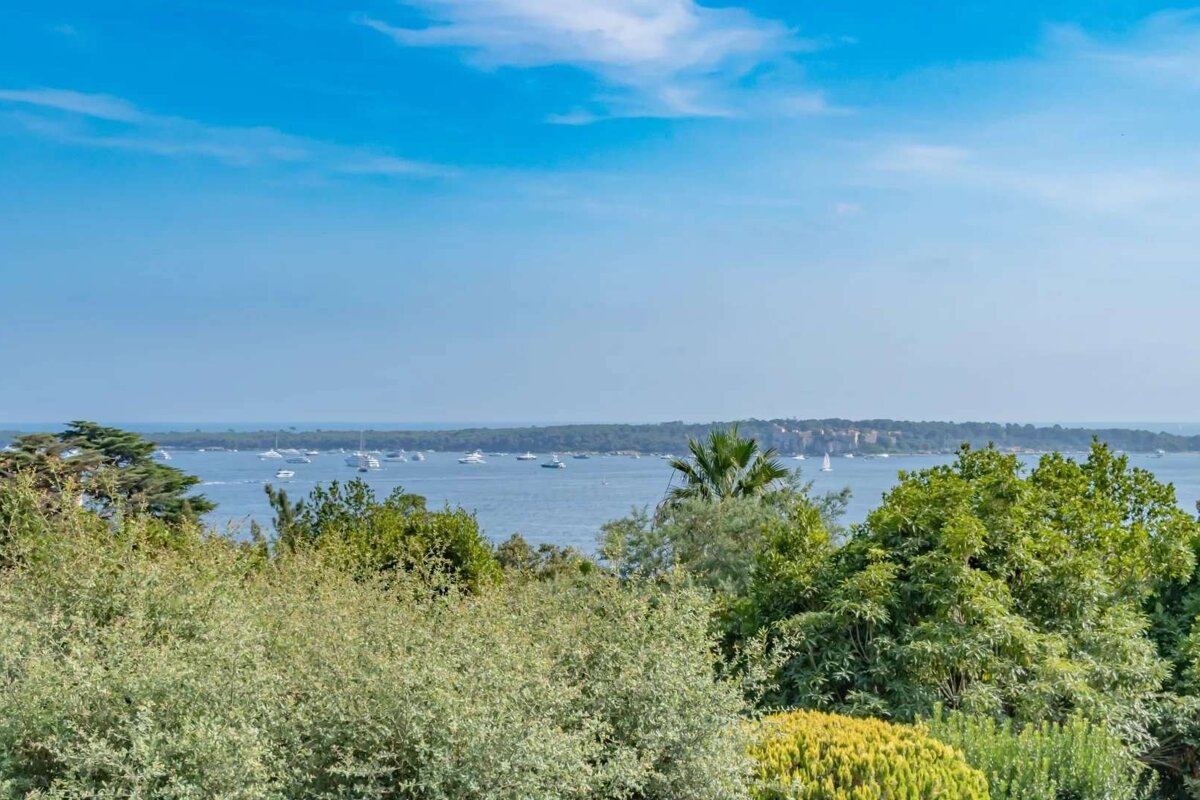 A calm blue bay dotted with many boats, viewed over lush green foliage, under a bright blue sky with light clouds.