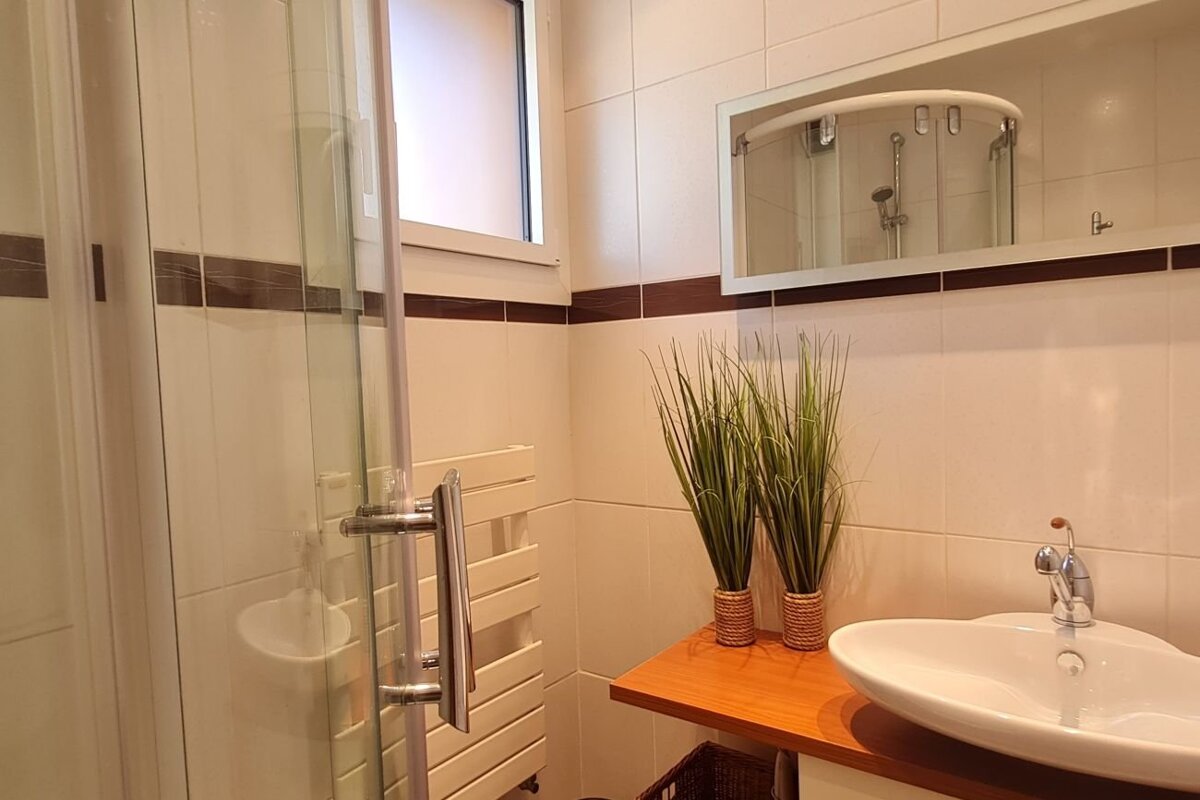 Modern bathroom featuring a glass shower, a white basin sink on a wooden vanity, and two decorative potted grasses.