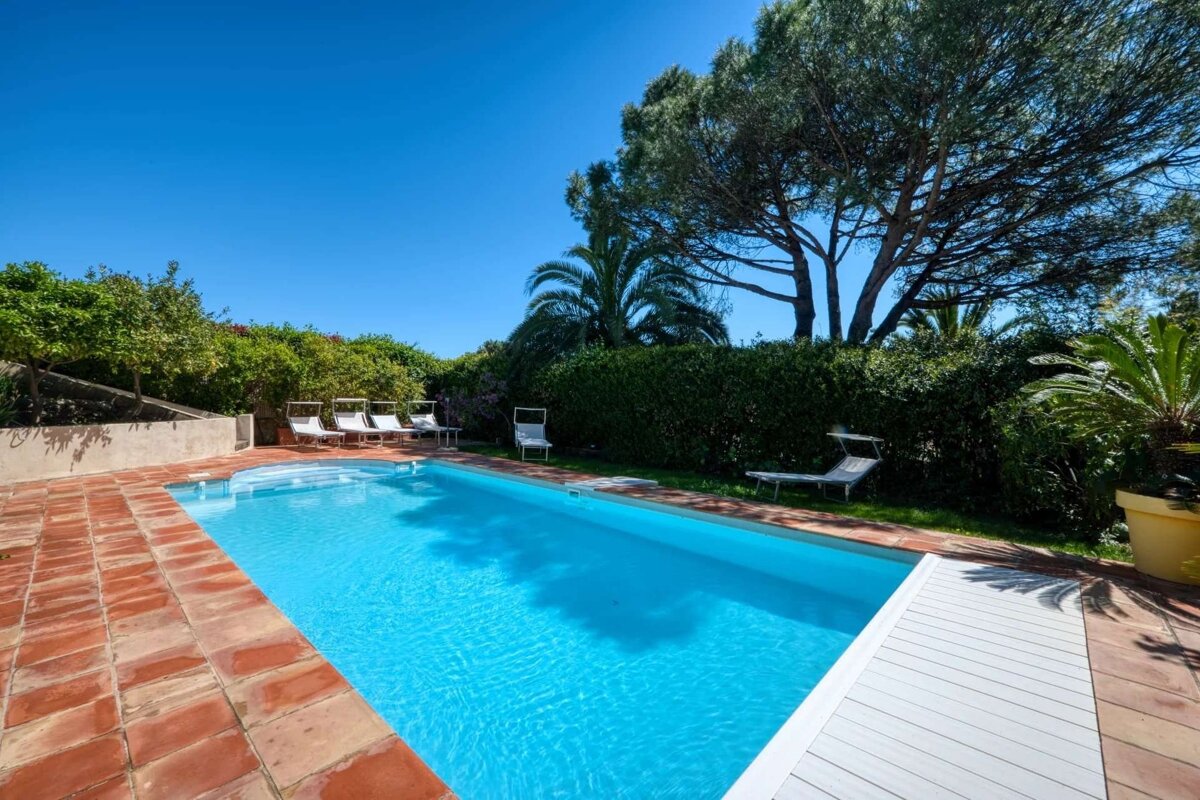 Bright blue swimming pool with terracotta surround, white lounge chairs, and lush green garden with trees under a clear, sunny sky.