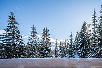 The sun is shining through the snow covered trees