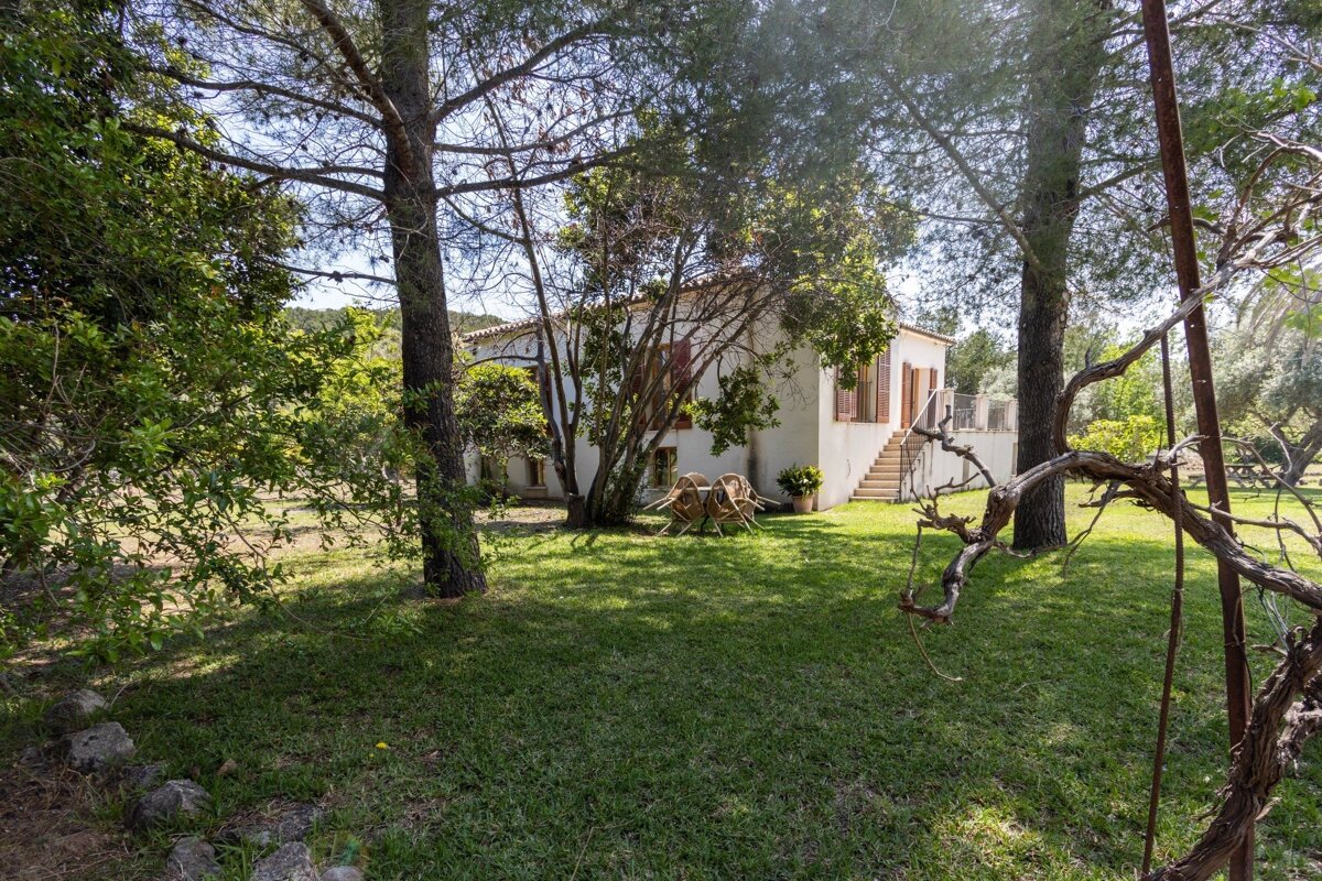A white country house with steps and outdoor seating is nestled in a sunny, tree-filled garden with a green lawn and a gnarled vine.