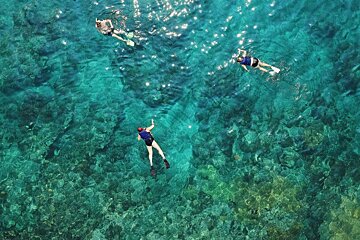 A group of people are swimming in the ocean