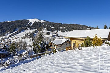 A snowy landscape with the word alpine on the bottom