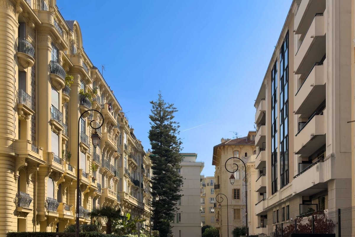 Street with old yellow buildings left, modern building right, tall pine tree in center, beneath a bright blue sky.