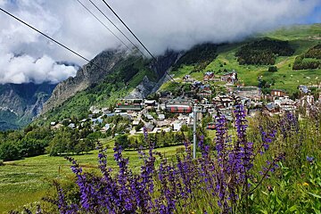 Purple flowers are in the foreground of a mountain village