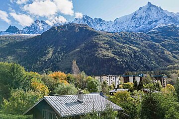 A house with a metal roof is surrounded by trees and mountains
